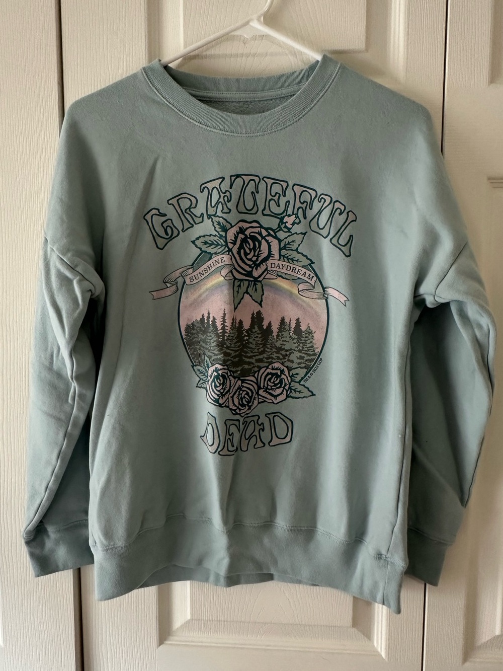 Abercrombie kids Grateful Dead Pastel Green Graphic Crewneck Sweatshirt